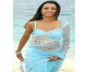 5f0e836a34033933ffe5818fc9515562.jpg from tamil actress trisha bi