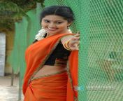 67b47b9cfa29a1b37e4e814a8c7eaa64.jpg from tamil actress sneha taa