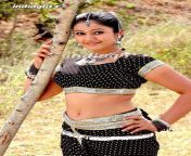03d9a056e6df15403c1b5827bfca3ee0.jpg from tamil actress kashthu