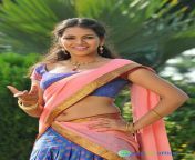 1b2fd2394c357f03f52f2ff8a5a0ceb1.jpg from tamil actress gowthami without saree jacket sex