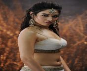 92c45296ef58f5e0385484e97d570fda.jpg from tamil actress tamana sexean naika koel mollik xxx video ian saree sucking fa
