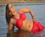 445d1e8f2db13bed2000ed352a877f36.jpg from pooman dubey bhojpuri actress nude
