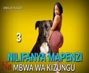 maxresdefault.jpg from mbwa wakifanya mapenz