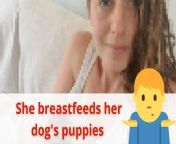 maxresdefault.jpg from wtf woman breastfeeds 2 puppies warning nsfw