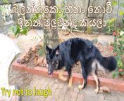 maxresdefault.jpg from view full screen cutest sri lankan leaked full collection mp4