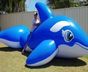 maxresdefault.jpg from inflatable 5m whale bounce