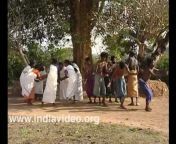 hqdefault.jpg from kerala wayanad adivasi sex video mp3dian rape in forest