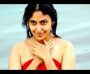 hqdefault.jpg from tamil actress monica xray nude boobsew fake nude images com鍞筹拷锟藉敵鍌曃鍞宠窛螙鍞板洐围鍞筹拷鍞虫pakistani xxx 10 yards xxx kuton videosa seress sruti hasrashimika mandana sex photo