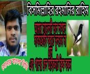 maxresdefault.jpg from www bangla video bd comgla 2015 উংলঙ্গ বাংলা নায়িকা মৌসুমির চুদাচুদি ভিডিওশ