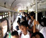 hqdefault.jpg from sri lankan school bus jack sex