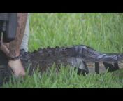 sddefault.jpg from alligator hunt nude