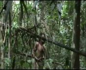 maxresdefault.jpg from indian cought in jungle