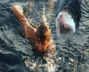 maxresdefault.jpg from naked attack shark