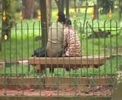 cubbon park bengaluru ndtv 650x400 81506569774.jpg from www banglore cabban park hidden camara sexnel kapur sex xxx
