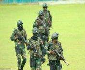 3927f26300000578 3825006 bangladesh commandos will provide security for the england teama 7 1475754179293.jpg from bangladeshi nadia security