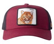 s l1600.jpg from cougar hat