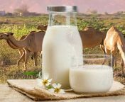 s l640.jpg from www xxx arab milk in blackbra big