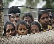 tamil civilians at an int 001 jpgwidth465dpr1snone from lanka demala ala six photos