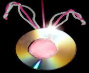 cd disc bunny 001 jpgfit691814 from cd bunny