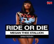 artworks 000652031542 l7do0i t500x500.jpg from ride or die megan thee stallion
