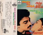 ninaive oru sangeetham andha oru nimidam pudhu nellu pudhtu nathu tamil film audio cassette by ilayaraaja www mossymart com 1 jpgfit807768ssl1 from tamil nathu co