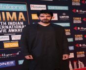 celebs at siima awards 2018 day 2 red carpet gallery set 4 12 jpgfit20003000quality80zoom1ssl1 from bollyu