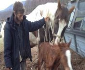 0 farmers had sex with horses goats dogs and a cow and forced child to take part in abuse.jpg from sex man fucking mare 3gp video download