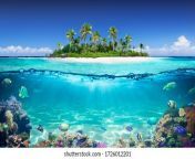 tropical island coral reef split 260nw 1726012201.jpg from paradise jpg