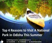 top 4 reasons to visit a national park in odisha this summer 1 1024 jpgcb1524720723 from odisa par