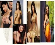 sexy pics of me the kajal agrawal telugu actress 6 320.jpg from kajal agrawal sex