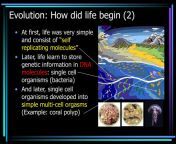 evolution how did life begin 2 l.jpg from how live begins
