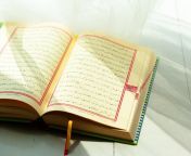 koran holy book muslims 93675 17449.jpg from muslim holybook