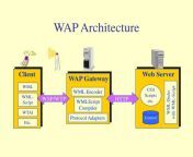 wap architecture l.jpg from wap wol