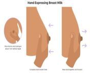 hand expressing breast milk 02 gifwidth414 from breast milk hand expression massage