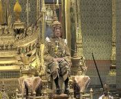 thailnad king ap jpgresize600 from thai king news jpg