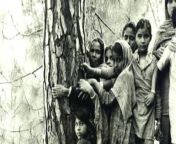 chipko andolan 4 jpgw414 from indian village forest forced sex video xxx hd
