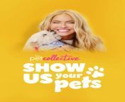 show us your pets webp from show us