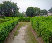 kaldighi park kaldighi dinajpur parks lmh865cjn8.jpg from videos kaldighi park