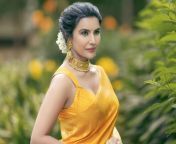 untitled design 6 16 16575250314x3.png from tamil actress priya anand sex image