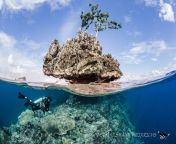 shawn heinrichsnudi rock from small mame nudi story