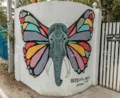 a street art guide to mirissa sri lanka from videos sri wall kellixxxxxn comangalore india woman xxx desi village vide