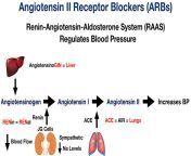 austin kosier angiotensin 2 receptor blockers mechanism action moa renin from arb moti