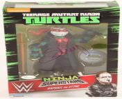 main 1539969205 sting signed wwe teenage mutant ninja turtles raphael as sting action figure jsa coa pristineauction com.jpg from malaysian young must’ve sting