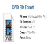 xvid file format.jpg from ww xvid