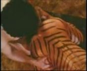 1174b036076a8a54d0741de204221328 10.jpg from tiger sex video