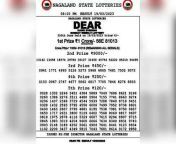 nagaland state dear lottery result today timing direct link how to check may 2 winning numbers.jpg from bihari xxxww lottery sambad www lottery sambad comesi village aunty sex 3gp