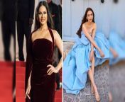 cannes 2023 sunny leone mesmerises in classic red velvet dress aditi rao hydaris baby blue gown is a dreamy look.jpg from sunny red wep xxx sex video nxx pone htamil serial savanthikamuilsexkat