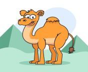 hand drawn cartoon camel illustration 23 2150373792 jpgsize338extjpggaga1 1 867424154 1714348800semtais from camel animation