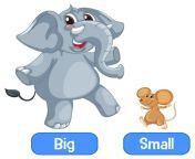 opposite adjectives words with big small 1308 53856.jpg from big smal