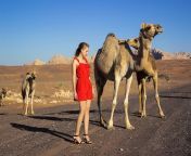 chica sexy posando camellos salvajes desierto carretera 419259 123.jpg from fotos chicas camello sexy